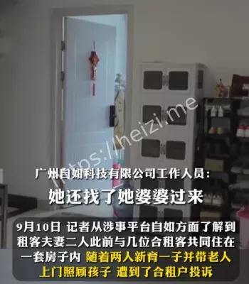 夫妻合租生娃被赶真相